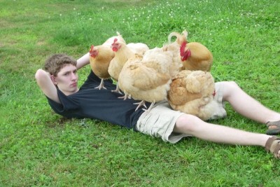 cmg-crop-0_33_800_533.Lord-of-the-Chicken-Vacation-Photos-Gone-Horribly-Wrong-1024x768.jpg.pro-cmg.md.jpg