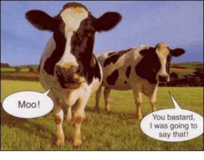 moo you bastard i was going to say that 37992669