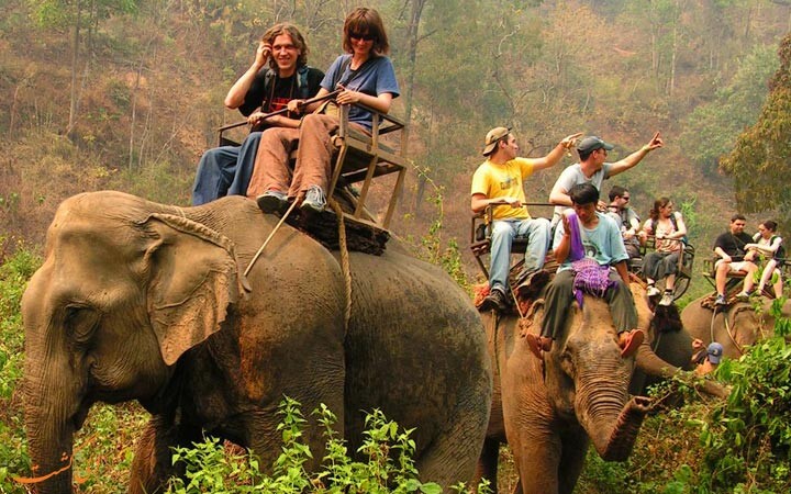 elephant riding thailand tour
