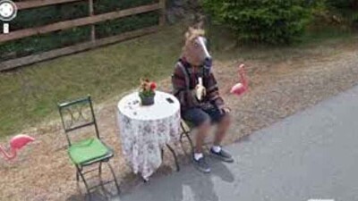 Horse-Head-At-Table-With-Banana.md.jpg