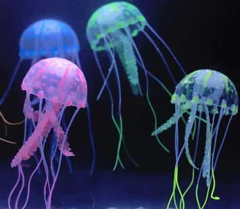 new-cute-fluorescent-glowing-effect-jellyfish-min-493x430-1009f6ea6875d7923.jpg