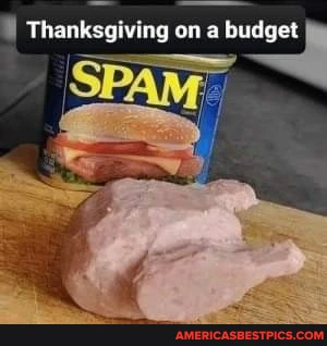 spam-turkey.png