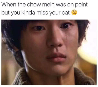 chow-cat.md.jpg