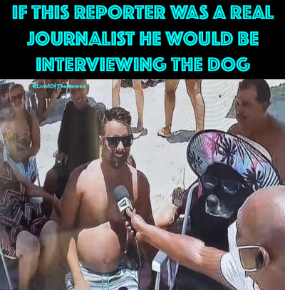 reporter-dog.md.jpeg