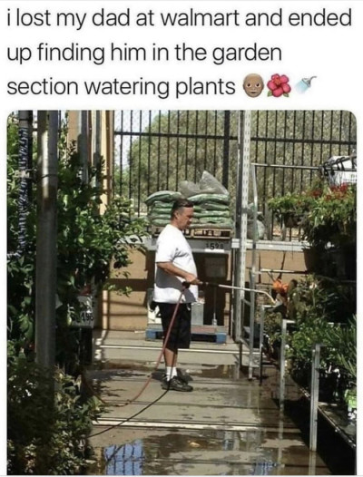 dad-plants.md.jpeg