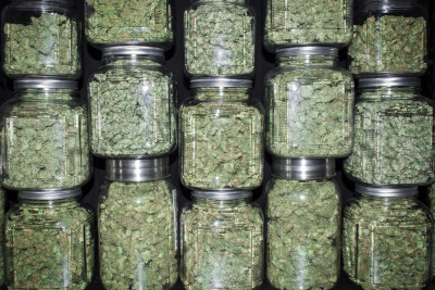 marijuana-flower-mass-storage-jars.md.jpeg