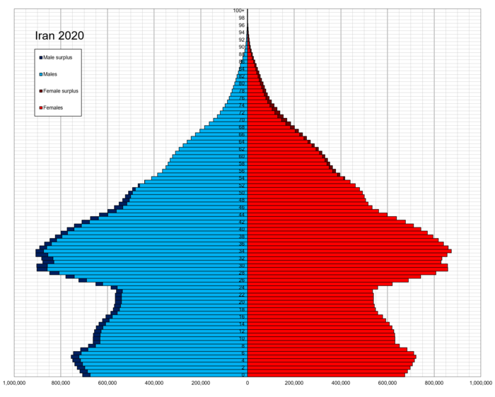 Iran_single_age_population_pyramid_2020.png