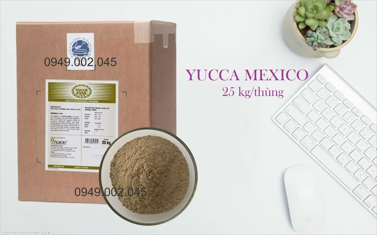 Yucca Star Powder - Yucca bột hấp thu khí độc ao nuôi